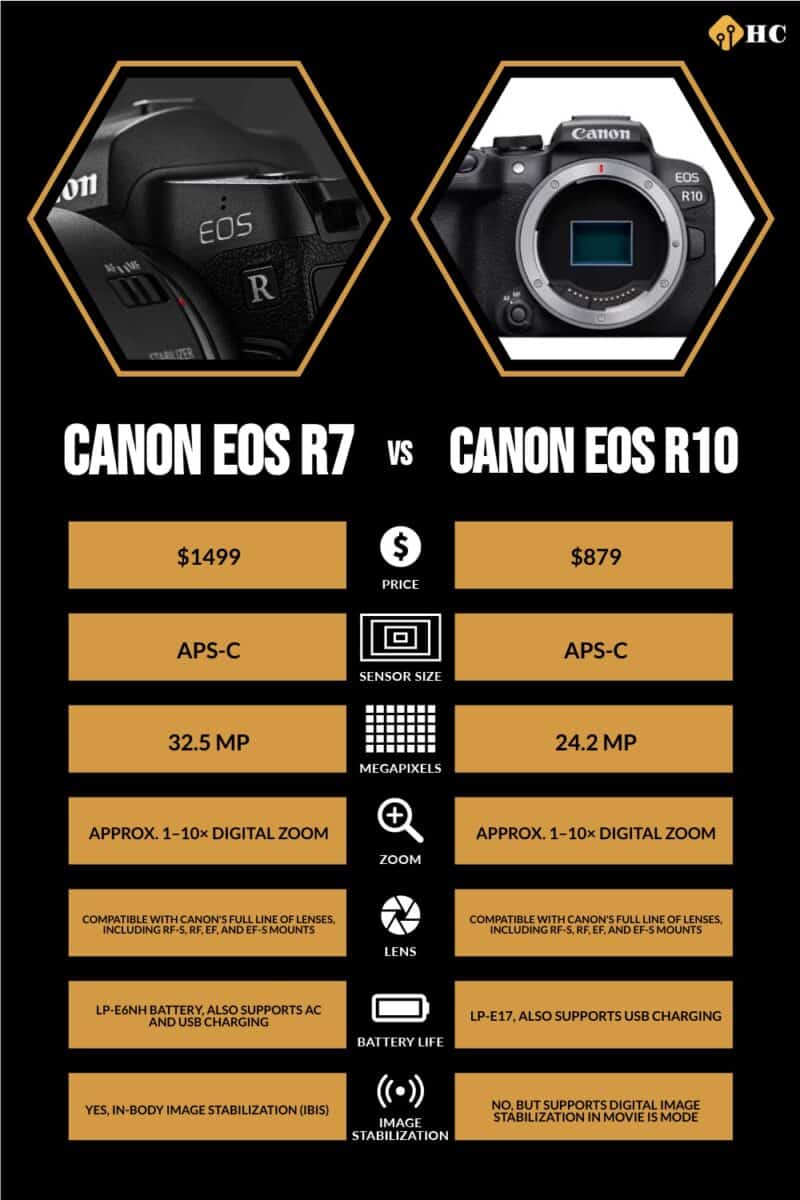 Infographic Canon EOS R7 vs Canon EOS R10