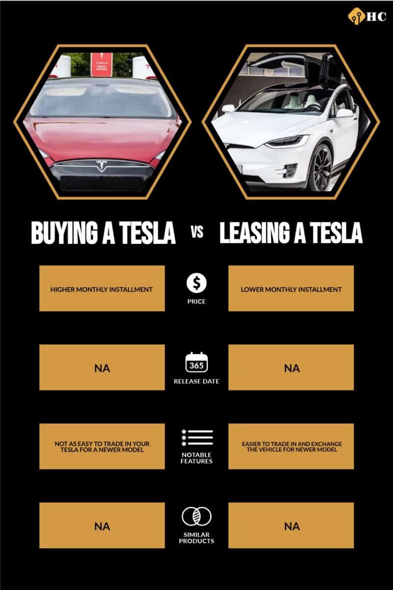 Infographic Buying a Tesla vs Leasing a Tesla