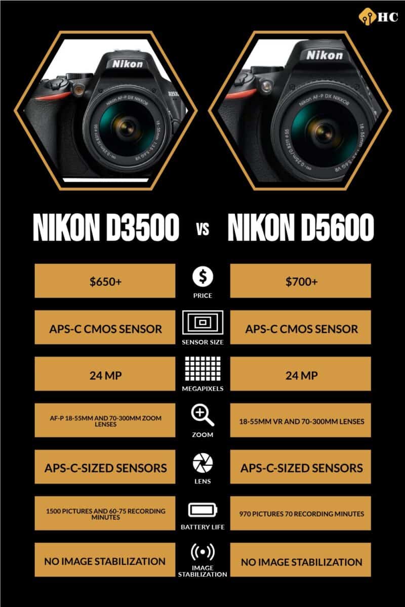 Nikon D3500 vs Nikon D5600