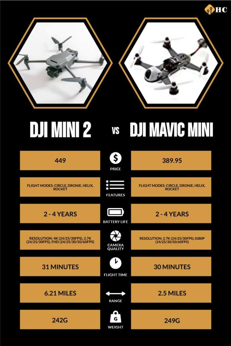 Infographic DJI Mini 2 vs DJI Mavic Mini