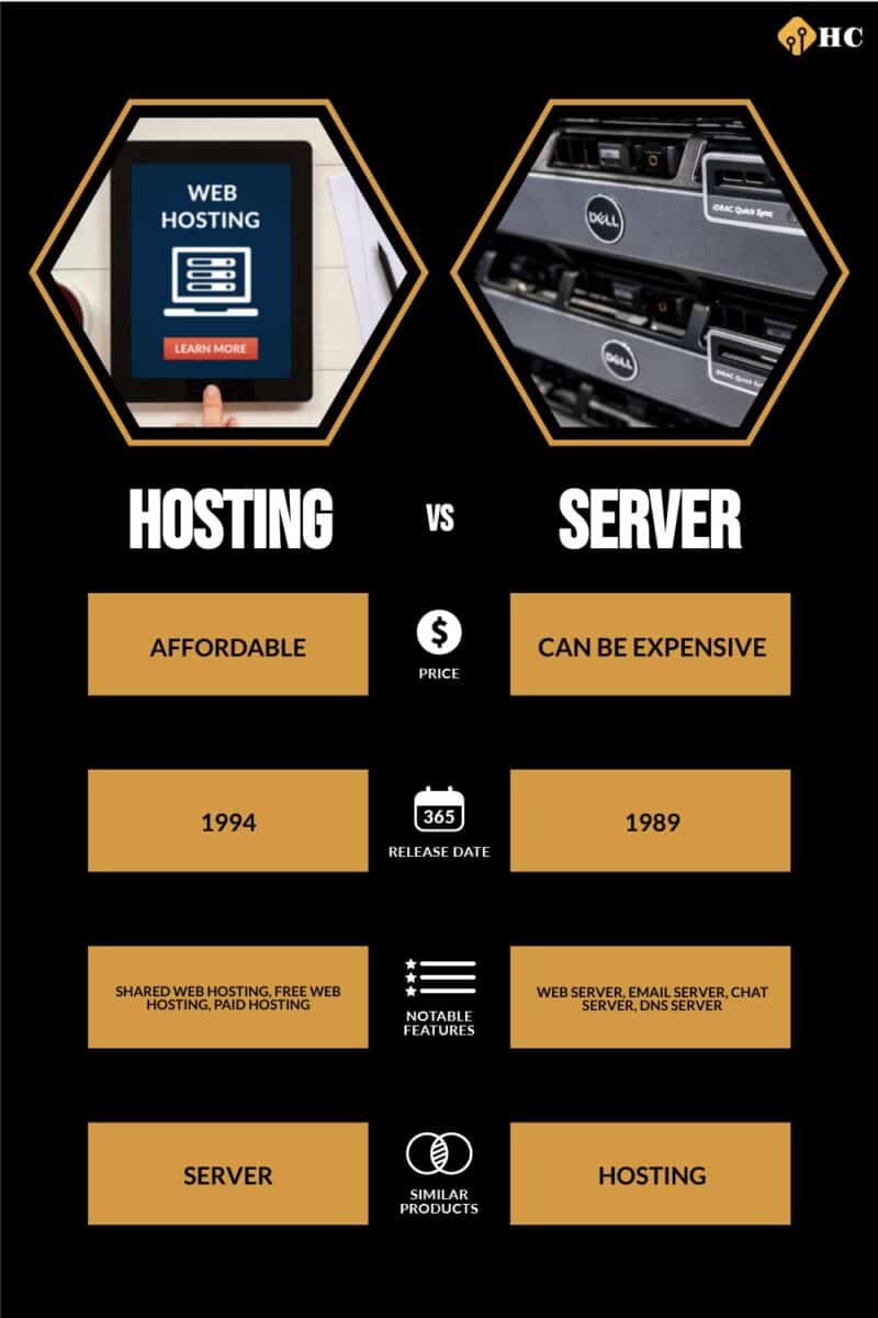 Infographic Hosting vs Server