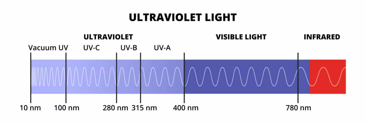 Visible Light vs Infrared: What Is the Difference? - History-Computer