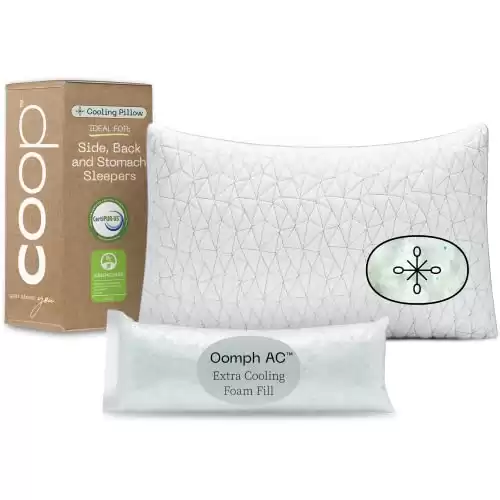 Coop Home Goods Eden Bed Pillow Queen Size