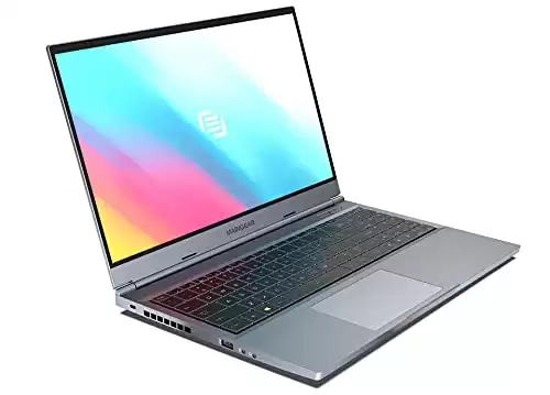 MAINGEAR Vector Pro 15.6 inch Gaming Laptop