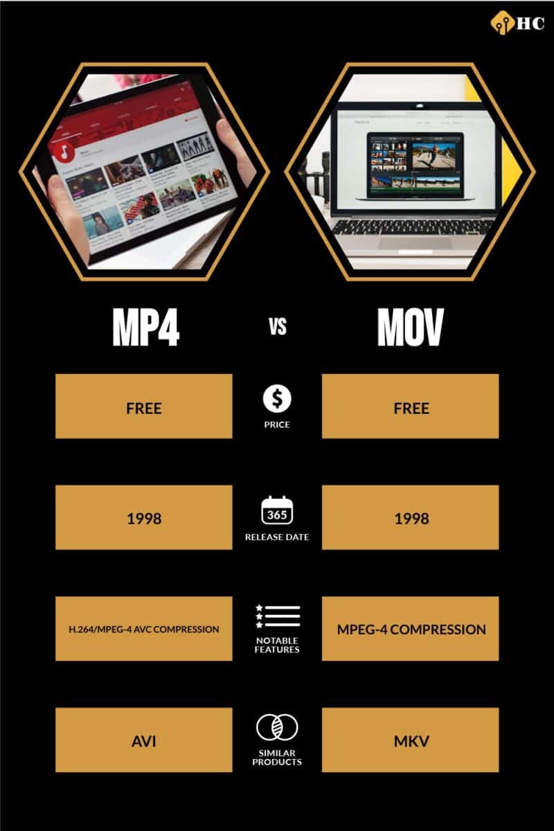 Choosing the Best File Format for Your TikTok Videos: MP4 vs. MOV vs. AVI  vs. MPEG 