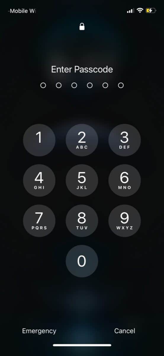 iPhone password screen