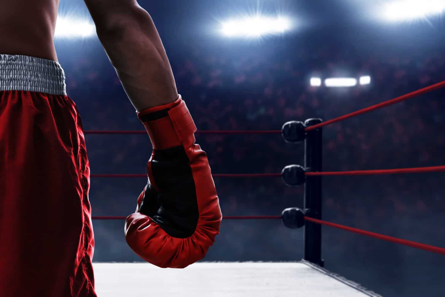 World Championship Boxing Manager 2 - IGN