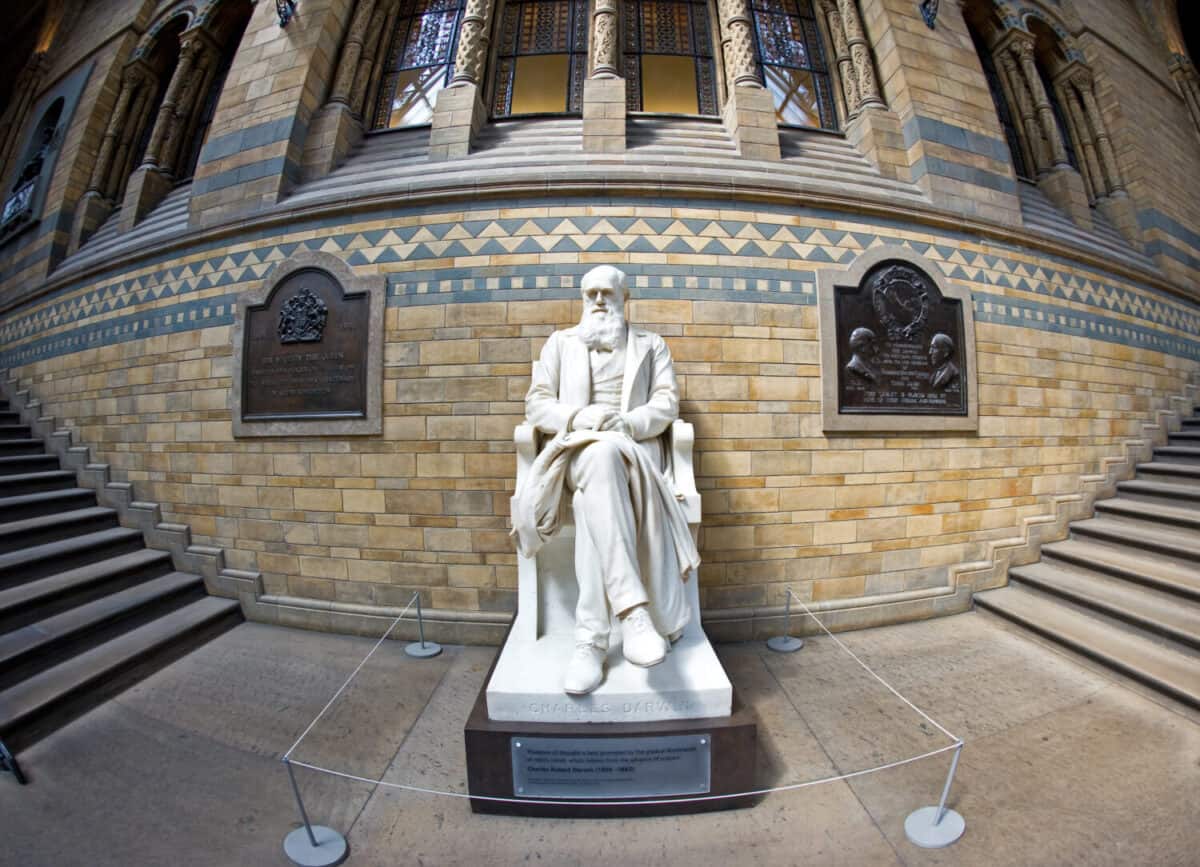 Statue of Charles Darwin, Natural History Museum. London, United Kingdom.