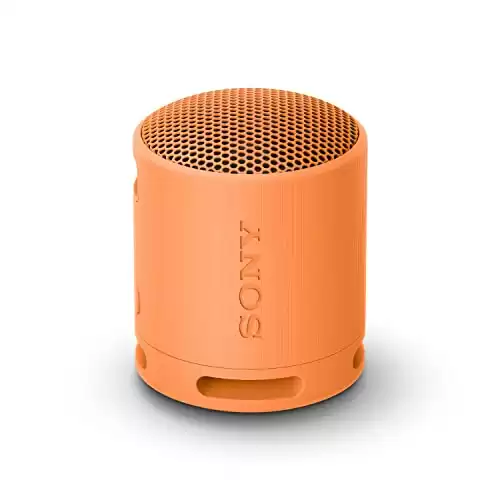 Sony SRS-XB100 Travel Speaker