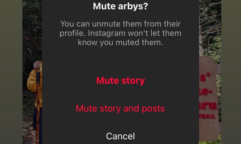 Options to mute story or mute story and posts.