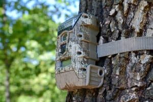 5 Best Trail Cameras for Security in 2023