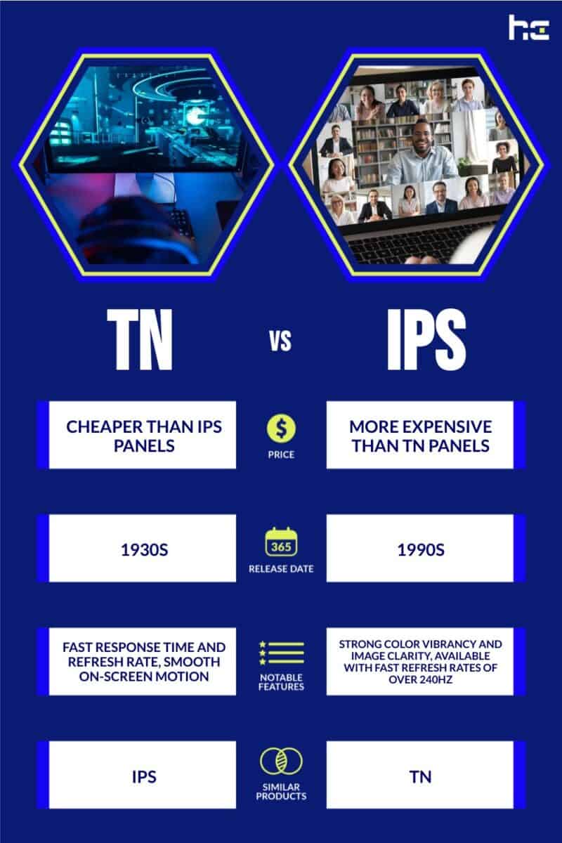 TN vs IPS