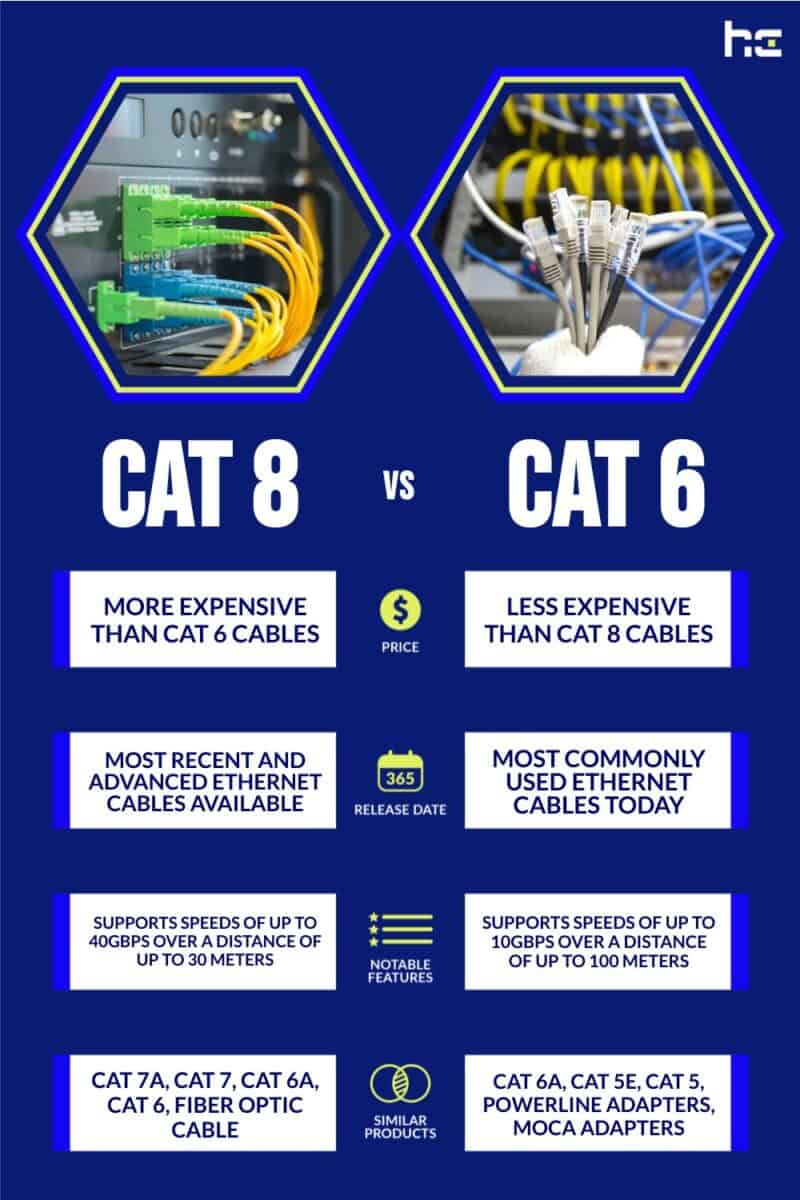 Cat 8 vs Cat 6 infographic