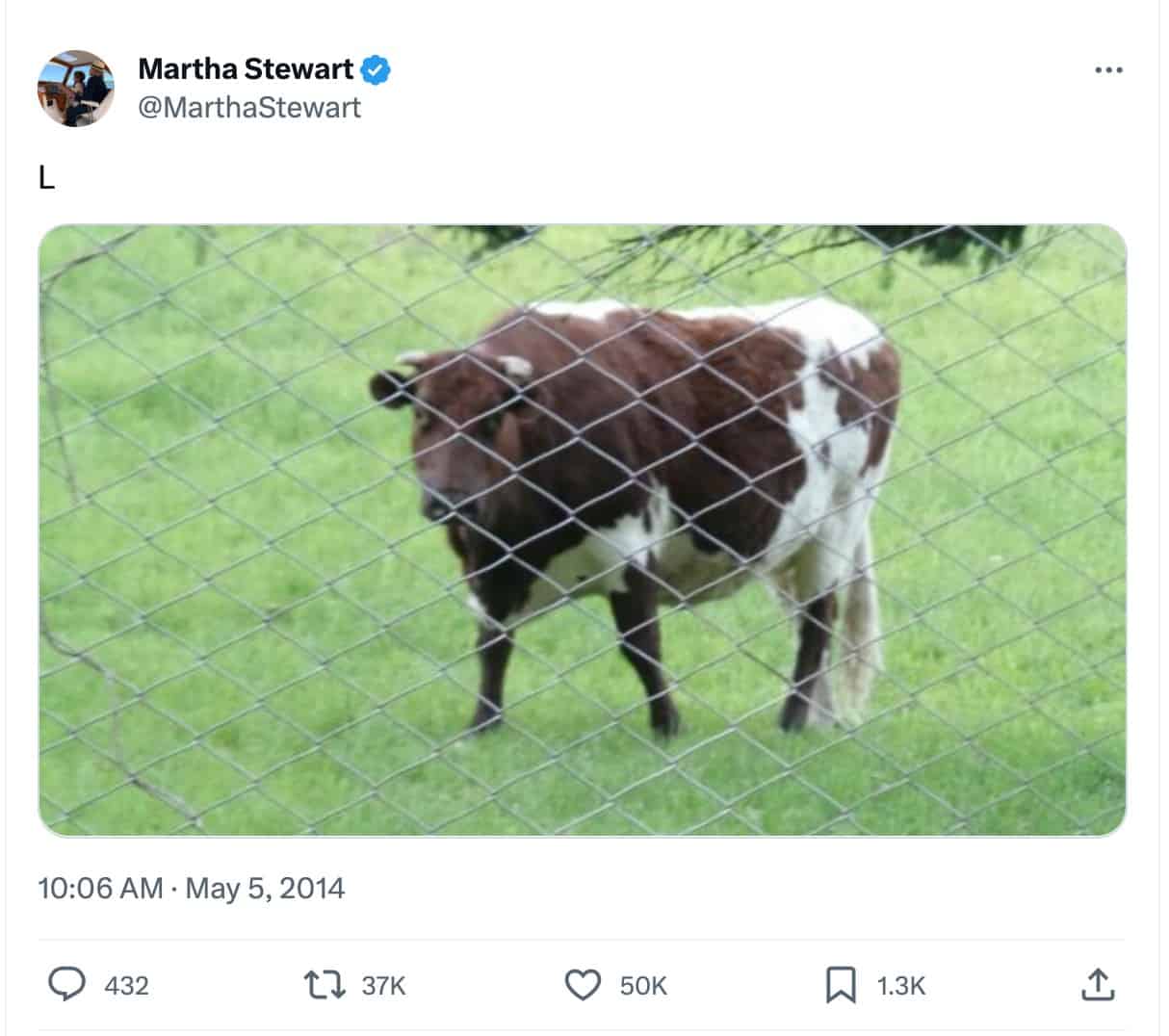 A strange post from Martha Stewart's Twitter featuring a cow and the letter L.