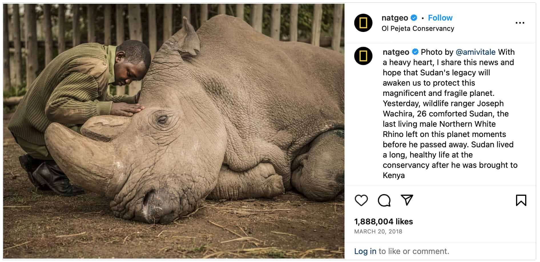 National Geographic's post about the last rhino of its kind.