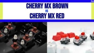 Cherry MX Brown vs. Red
