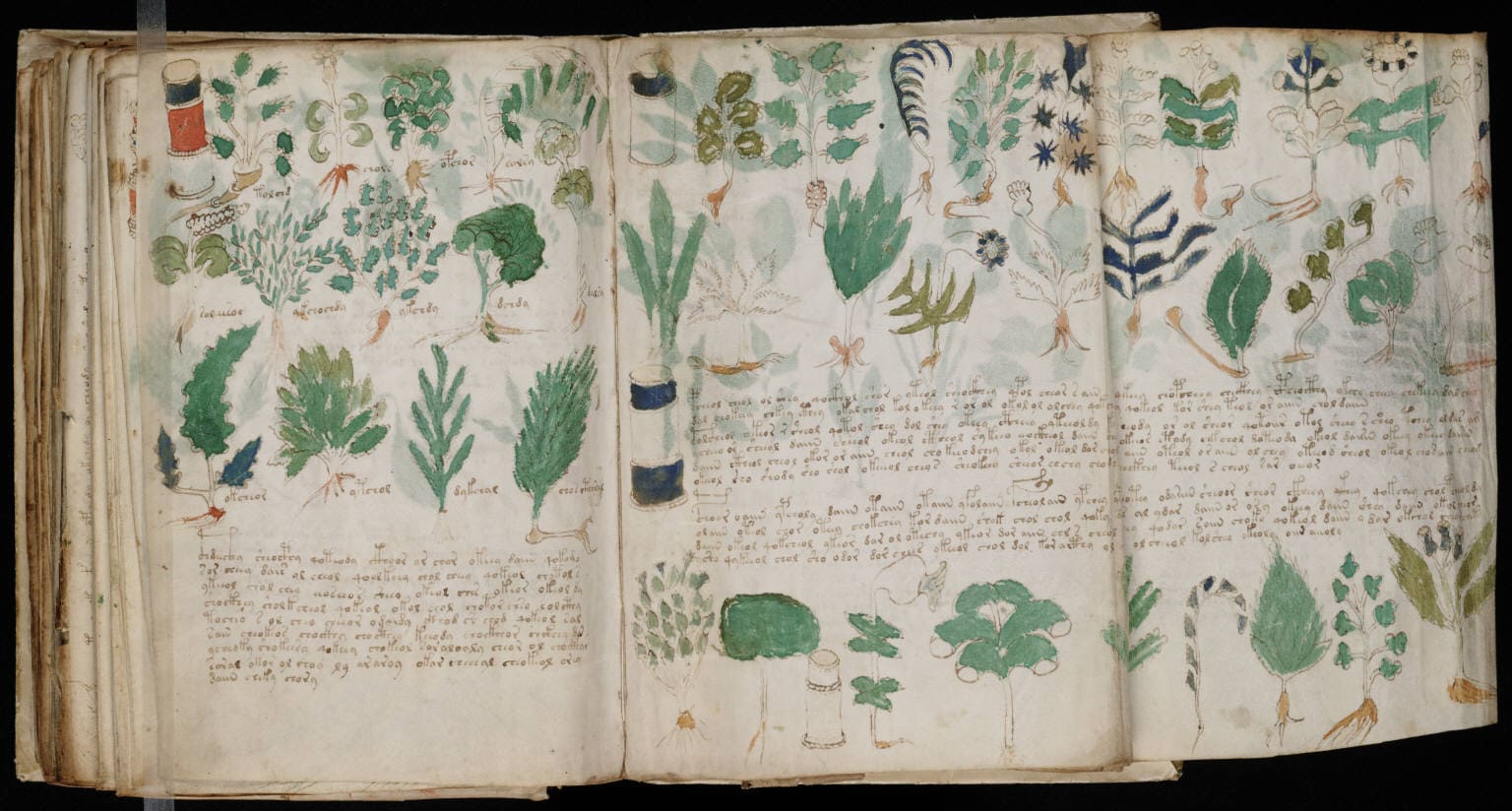 4. Voynich Manuscript