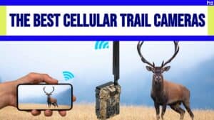 Best cellular trail cameras