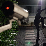 The States Where the Most Guns Are Stolen in America