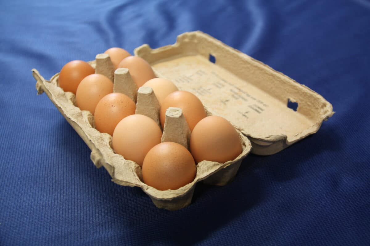 A container of brown eggs.