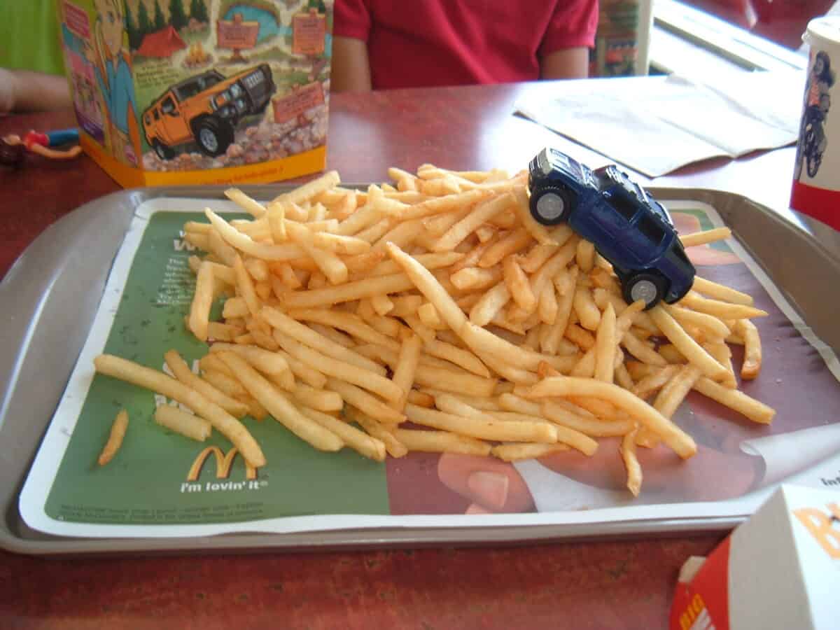 McDonald's French Fry