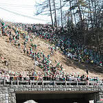 Extreme Log Ride (Japan)