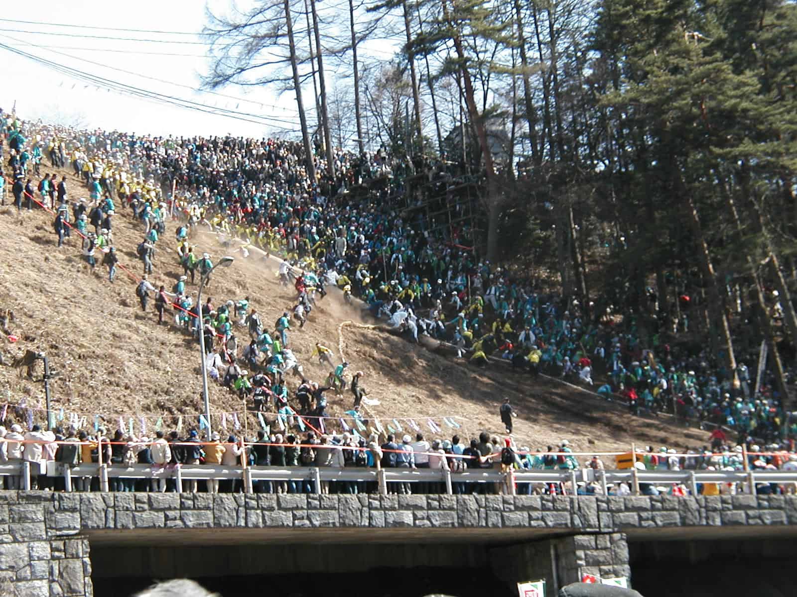 Extreme Log Ride (Japan)