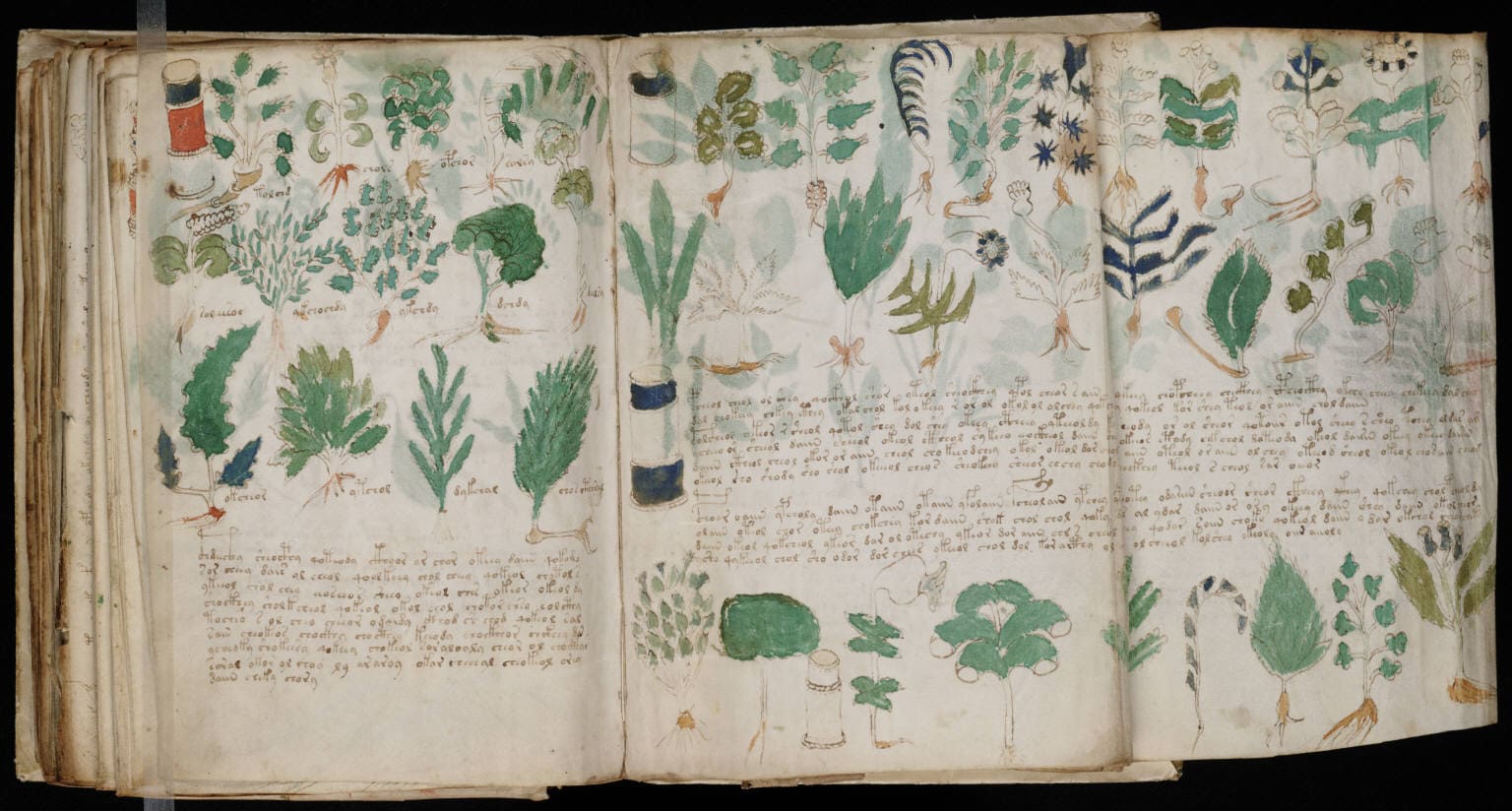 Voynich Manuscript (cont.)