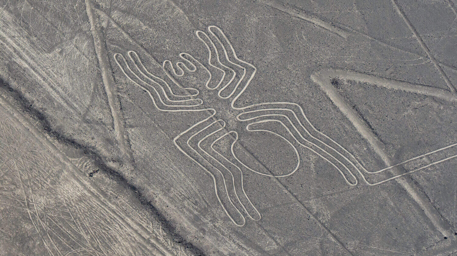 Nazca Lines