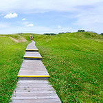 Monumental Earthworks of Poverty Point