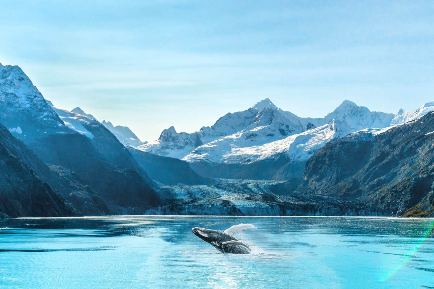 Kluane / Wrangell-St. Elias / Glacier Bay