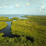 Everglades National Park 