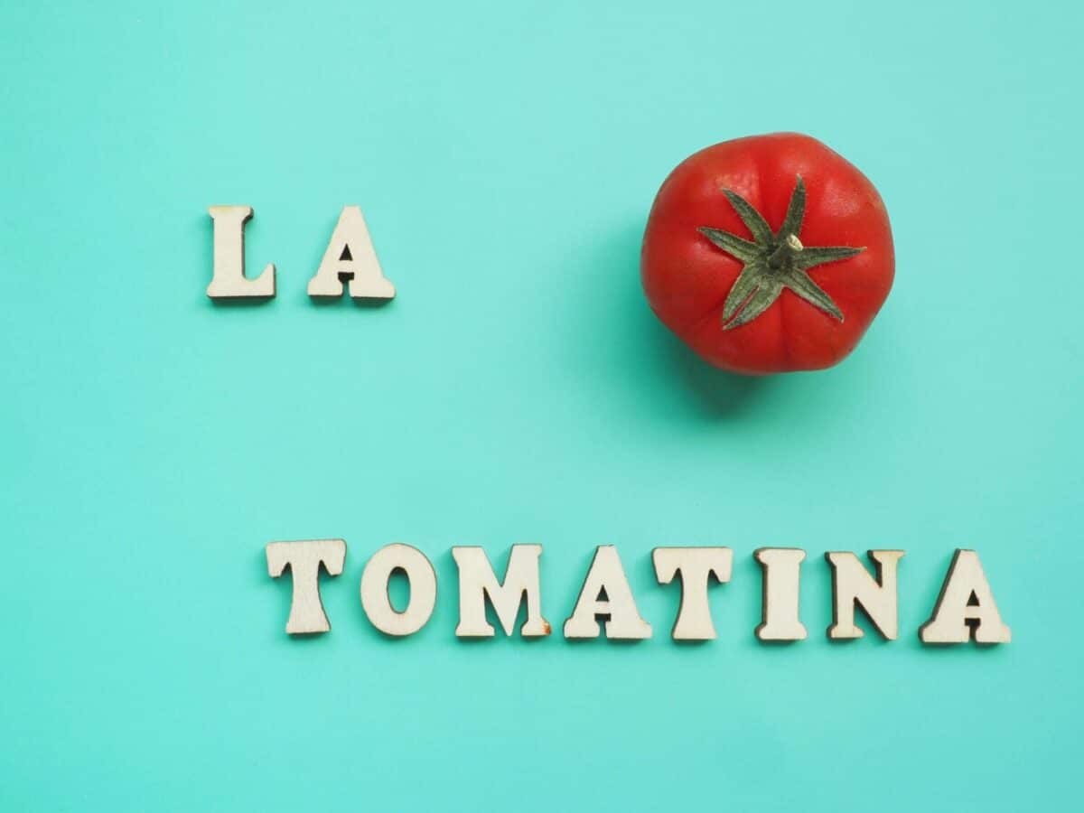 La tomatina spanish festival sign with a Red tomato