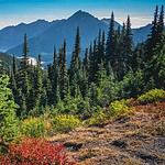 Olympic National Park 