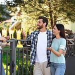 Neighbors Numbers
