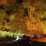 Mammoth Cave National Park 