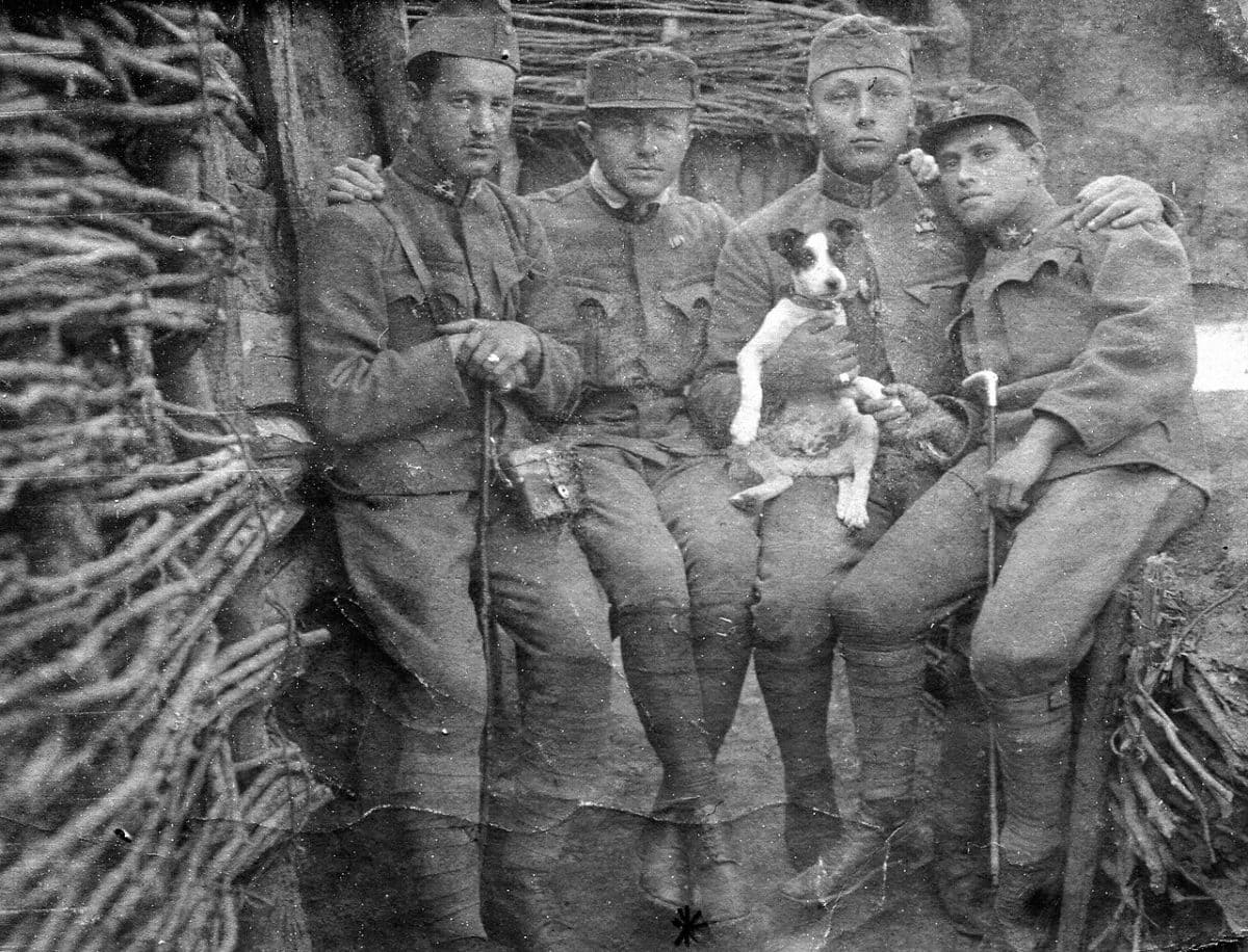 Tableau, men, uniform, trench, walking cane, dog, posture, gesture, First World War, soldier Fortepan