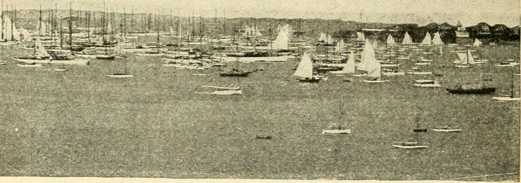A Regatta