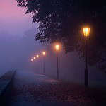 Lamplighter