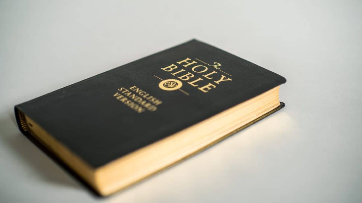 English Standard Version Holy Bible ESV