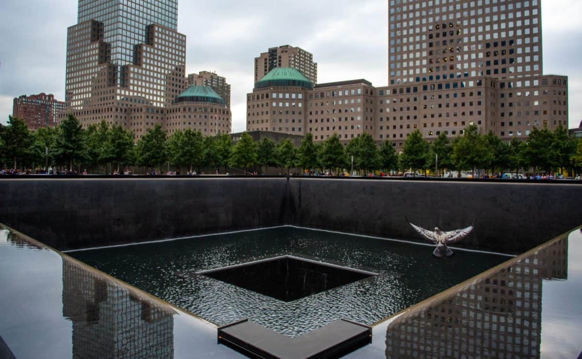 Bird in flight over 9 11 Memorial fountain in New York Manhattan