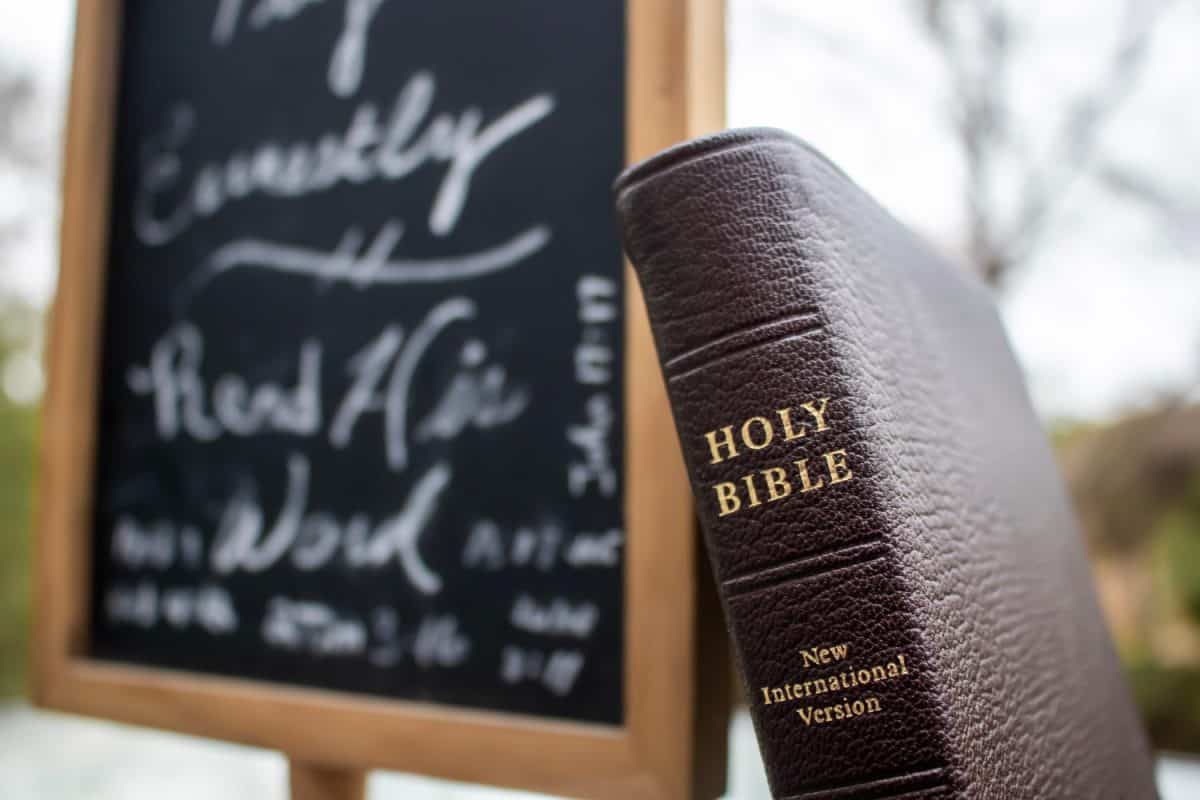 The Bible - New International Version - sitting outside on a table with a blurry sign in the background.