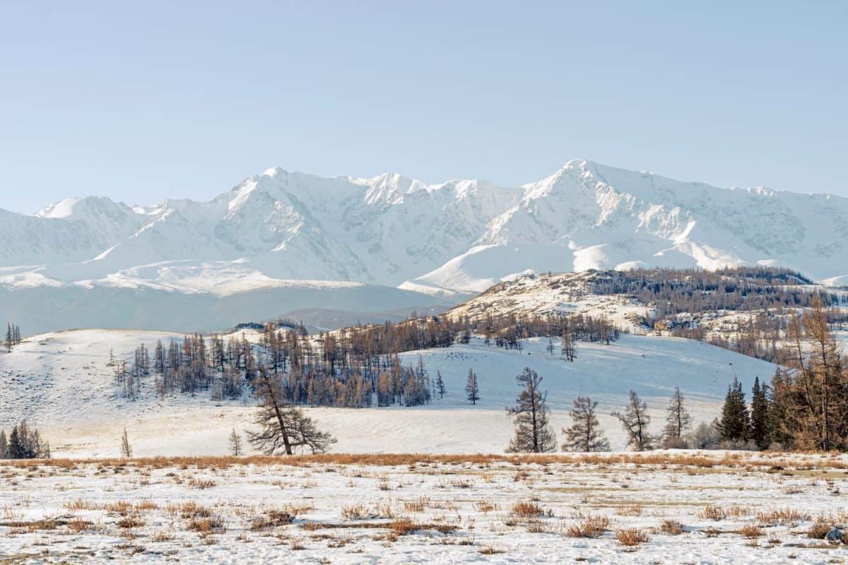 beautiful snowy landscape with mountains in the background. Steppe landscape of the Altai mountains or Mongolia. Severe frost.