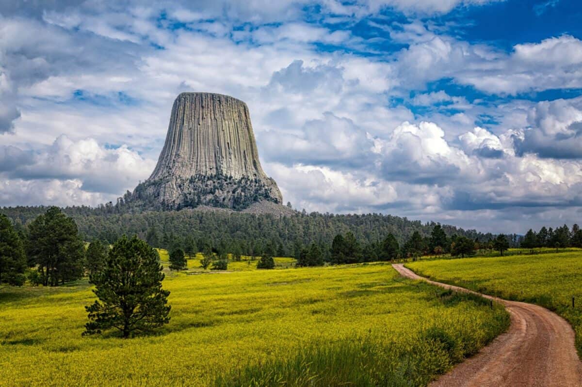 Sunny summer afternoon at Devil's Tower National Monument in the State of Wyoming USA, surrounded with yellow sweet clover wildflowers and dramatic clouds in sky after rain storm
