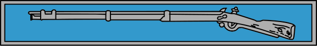 Expert Infantry Badge