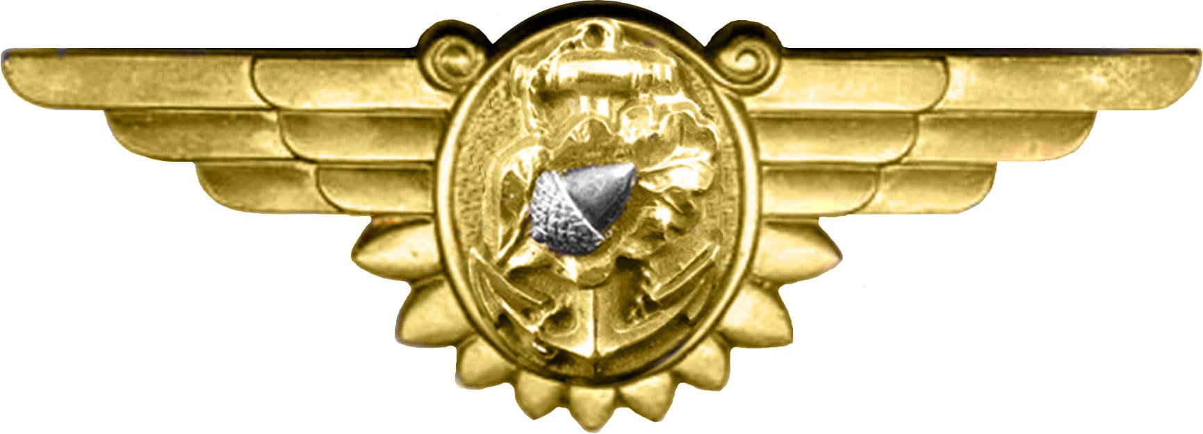 Flight Nurse Badge