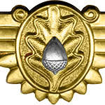 Naval Flight Surgeon Insignia 