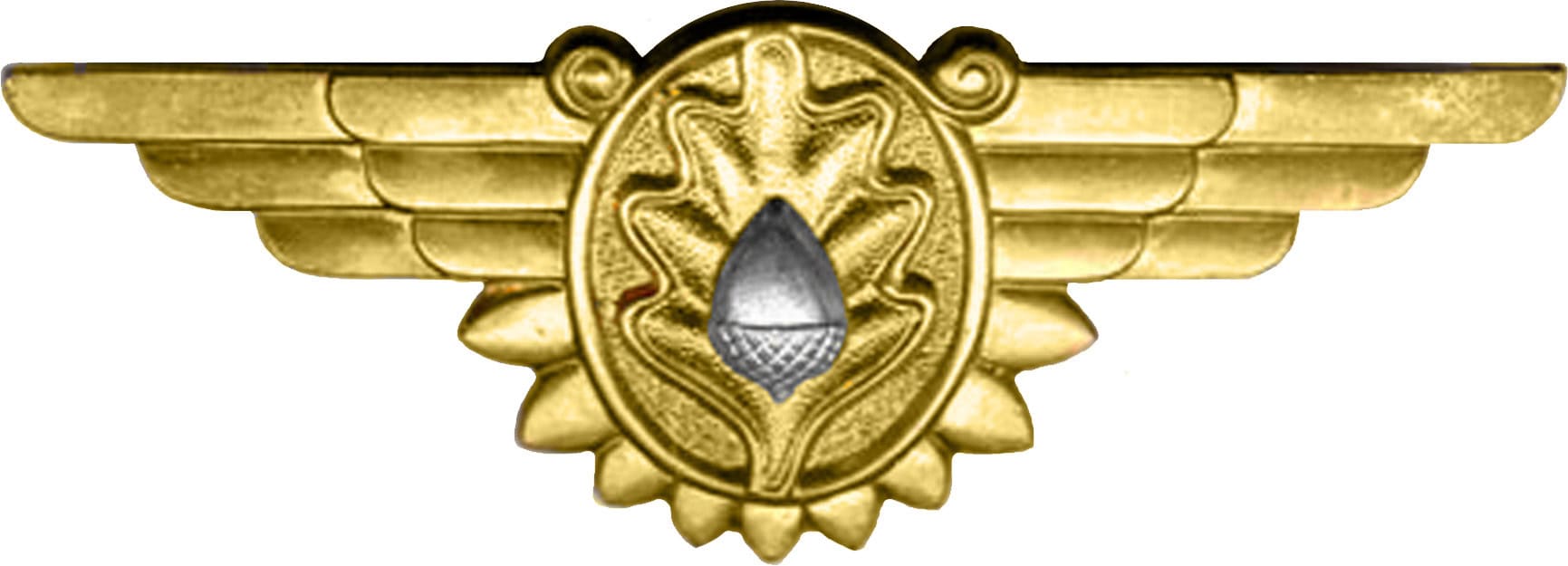 Naval Flight Surgeon Insignia 