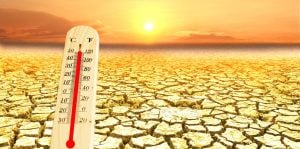 Dry land and very hot weather, with heat measuring instruments