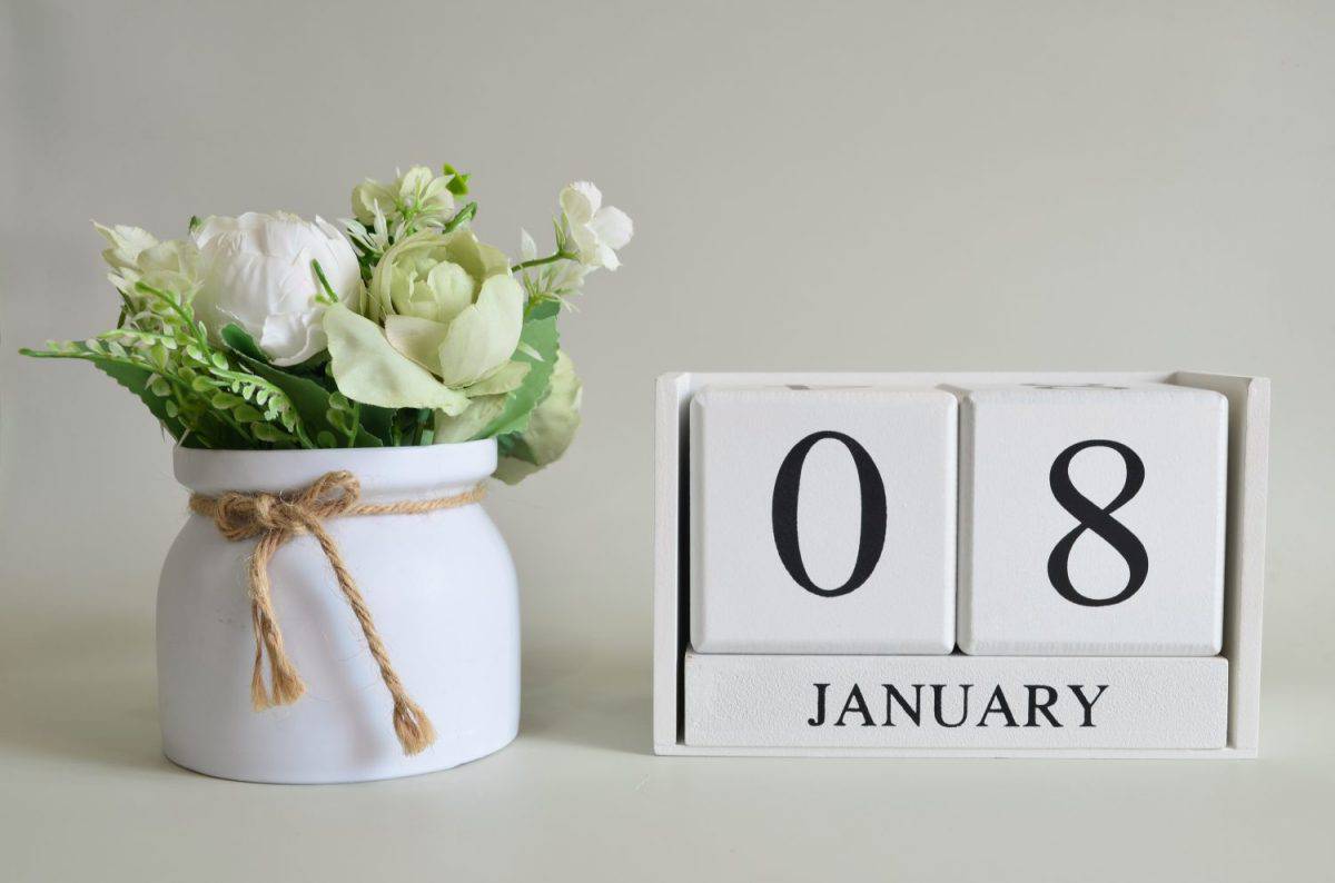 January 8, Cover natural background, white wooden Calendar cube with a pot flower on white background.
